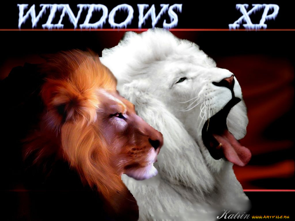 lions, remix, , windows, xp